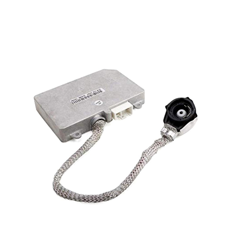 OEM Ballast D2/4 (DW) 12V
