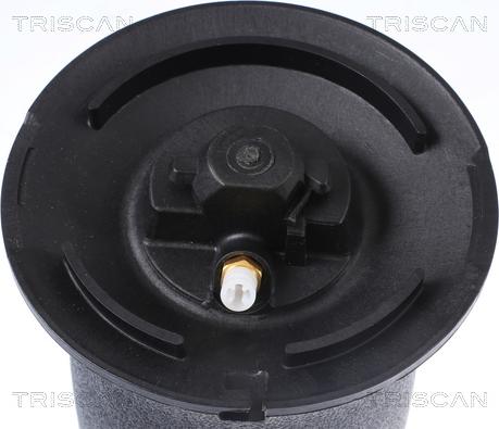 Triscan 8720 11202 - Arc pneumatic, directie directpiese.ro